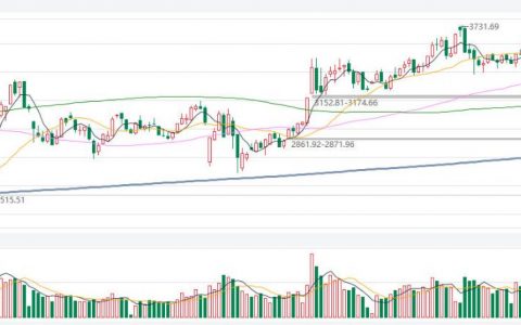 快乐期货直播在线观看